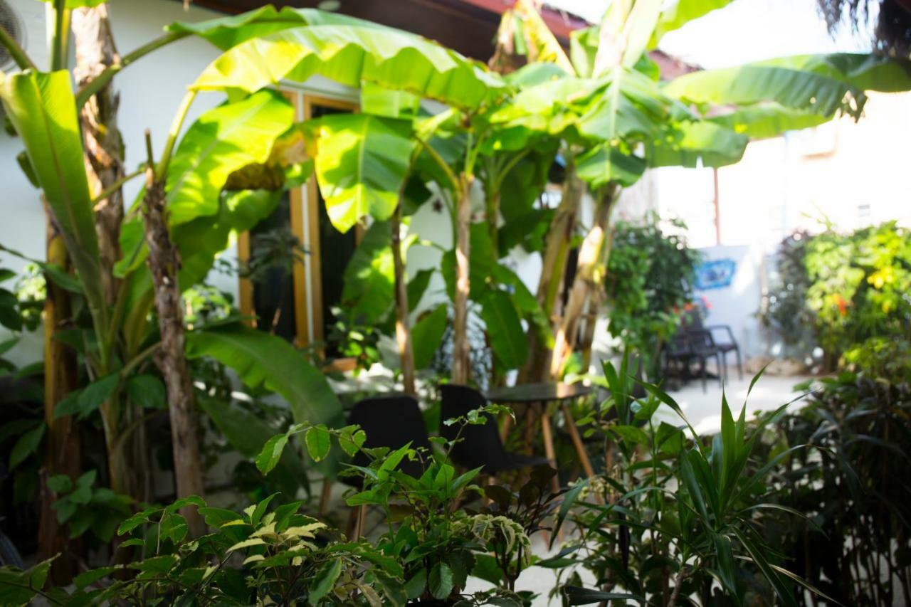 Silk Retreats Thulusdhoo Guest House Luaran gambar